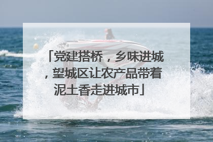 党建搭桥，乡味进城，望城区让农产品带着泥土香走进城市